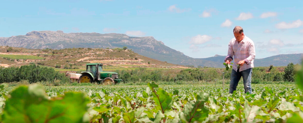 Agricultura sostenible