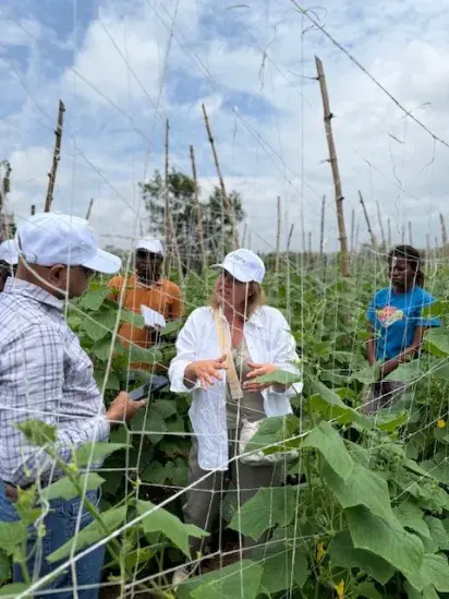 Campo Benin 2 Campo Benin 2