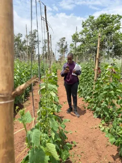 Campo Benin 3 Campo Benin 3