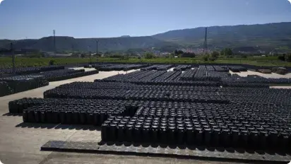 Comprehensive care Comprehensive care