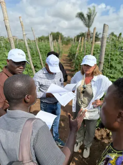 Impacto Global 2017 Impacto Global 2017