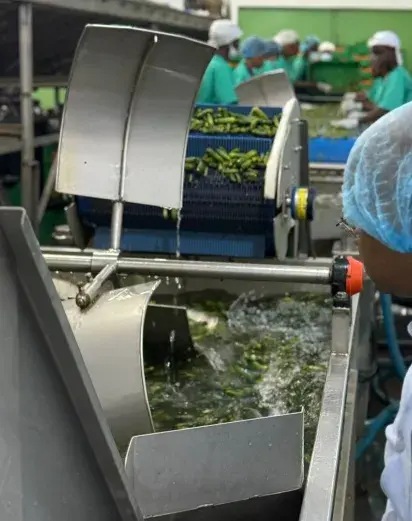 Fachada vegola nueva Fachada vegola nueva