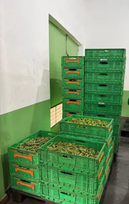 Benin cajas Benin cajas