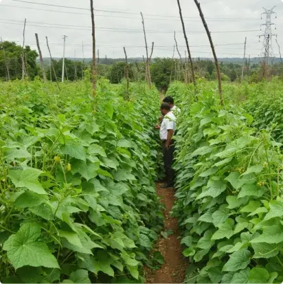 Campo Benin 1 Campo Benin 1