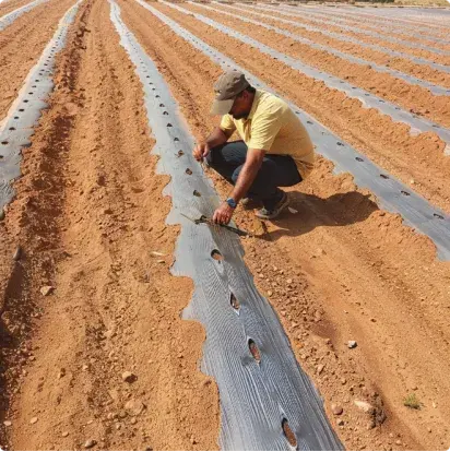 Campo india 2 Campo india 2