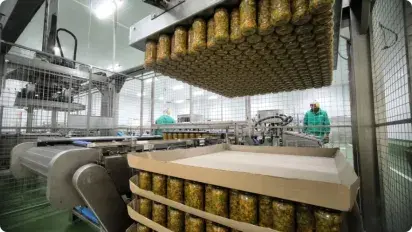 Productive flexibility Productive flexibility