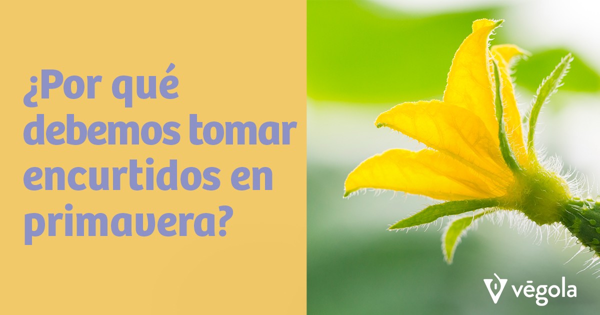 ¿Por qué debemos tomar encurtidos en primavera?